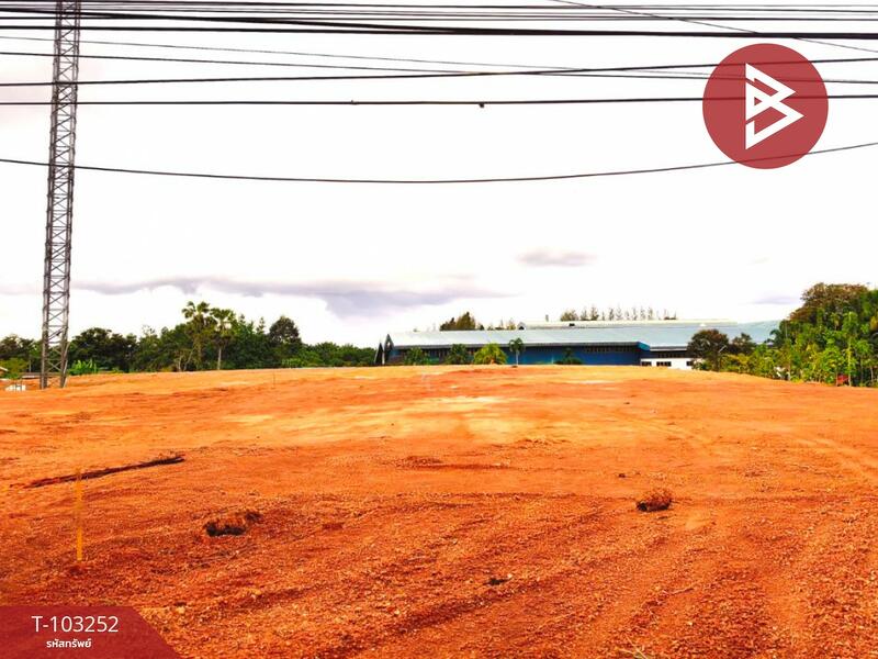 ให้เช่า - ที่ดินท่าแซะ ชุมพร, ชุมพร