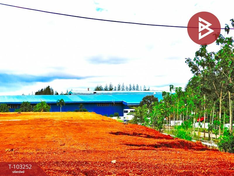 ให้เช่า - ที่ดินท่าแซะ ชุมพร, ชุมพร