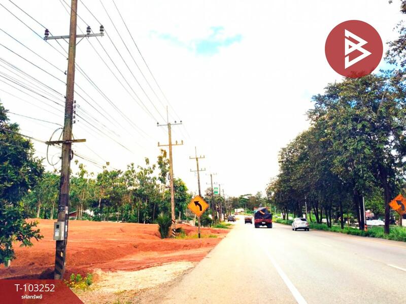 ให้เช่า - ที่ดินท่าแซะ ชุมพร, ชุมพร