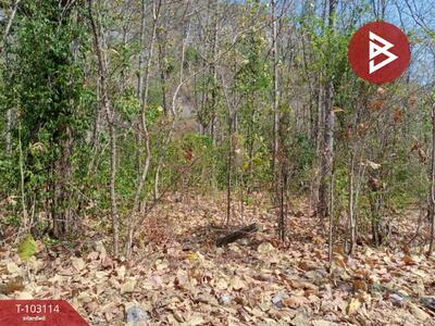 ขาย - ที่ดินตาคลี นครสวรรค์, นครสวรรค์