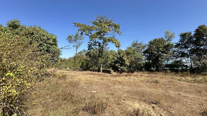 For Sale - ขายที่ดิน 21 ไร่เศษ พร้อมสิ่งปลูกสร้าง ตำบลชานุมาน, Amnat Charoen