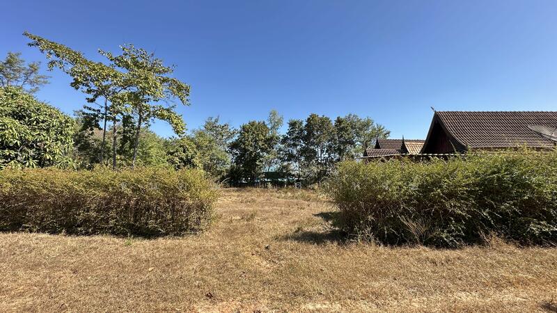 For Sale - ขายที่ดิน 21 ไร่เศษ พร้อมสิ่งปลูกสร้าง ตำบลชานุมาน, Amnat Charoen