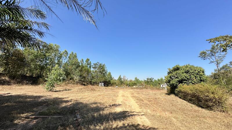 For Sale - ขายที่ดิน 21 ไร่เศษ พร้อมสิ่งปลูกสร้าง ตำบลชานุมาน, Amnat Charoen