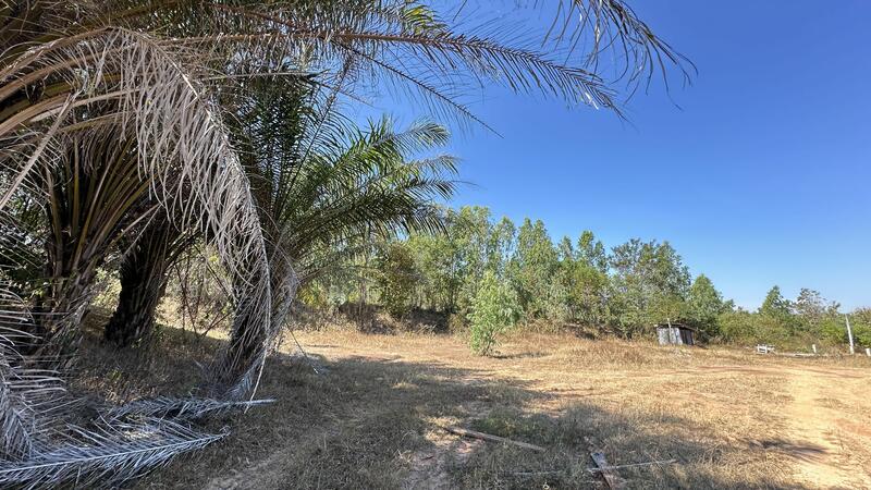 For Sale - ขายที่ดิน 21 ไร่เศษ พร้อมสิ่งปลูกสร้าง ตำบลชานุมาน, Amnat Charoen