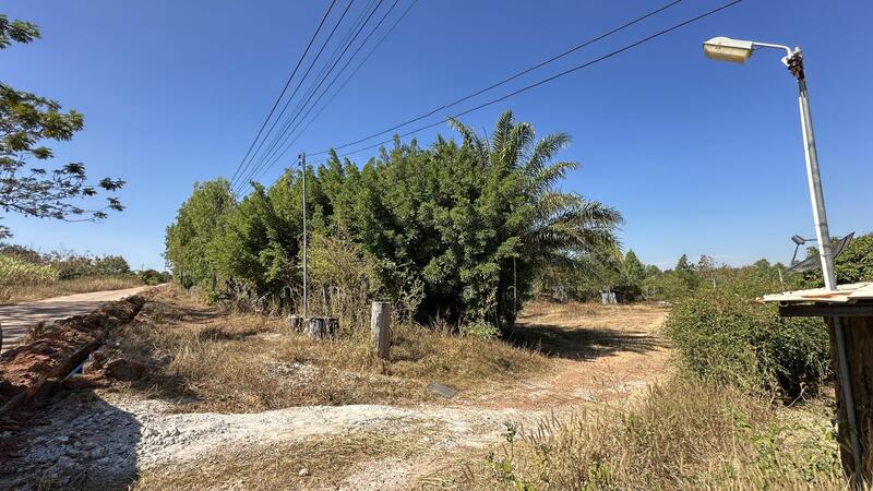 For Sale - ขายที่ดิน 21 ไร่เศษ พร้อมสิ่งปลูกสร้าง ตำบลชานุมาน, Amnat Charoen