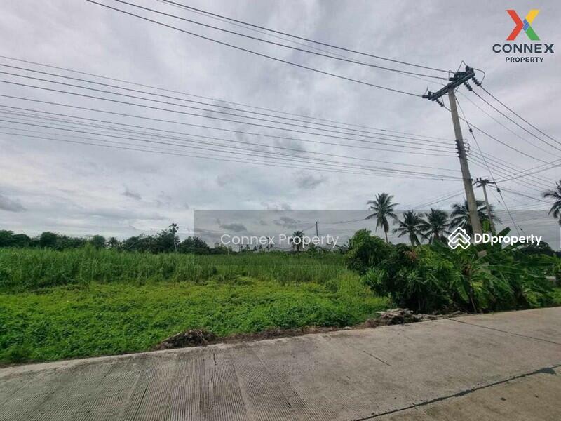 ขาย - Empty land for sale, Sam Phran, 10 rai. ขายที่ดินเปล่า สามพราน 10ไร่, นครปฐม