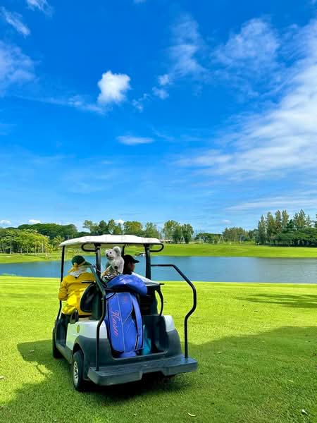 ขายที่ดินจัดสรร 8 แปลง( 266-269 ตรว.)สนามกอล์ฟ Sir James มวกเหล็ก สระบุรี เหมาะสร้าง: บ้านจัดสรร, สระบุรี, มิตรภาพ, มวกเหล็ก, สระบุรี, 8,536 ตร.ม., ที่ดิน ขาย, โดย Korn Thiptharat, 11733810 - DDproperty.com