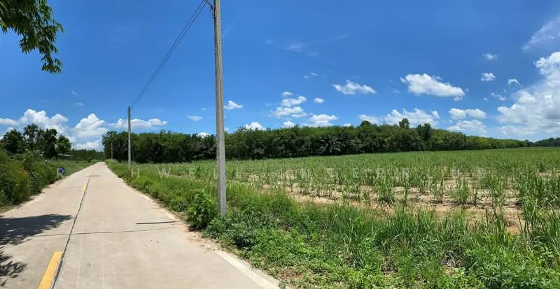 For Sale - Land for sale at Suwan Temple, 35 rai, next to a concrete road,, Chon Buri (Pattaya)
