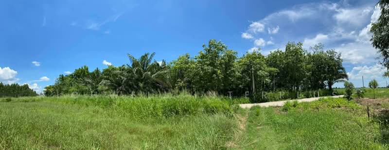 For Sale - Land for sale at Suwan Temple, 35 rai, next to a concrete road,, Chon Buri (Pattaya)