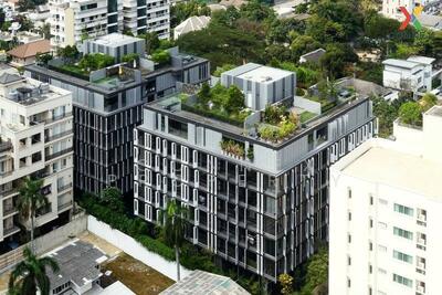 ขาย - Siamese Gioia : ไซมิส จอยญ่า, กรุงเทพ