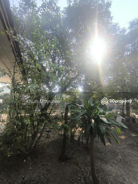 For Rent - ม.ประชาชื่น ซอยสามัคคี 63, Nonthaburi