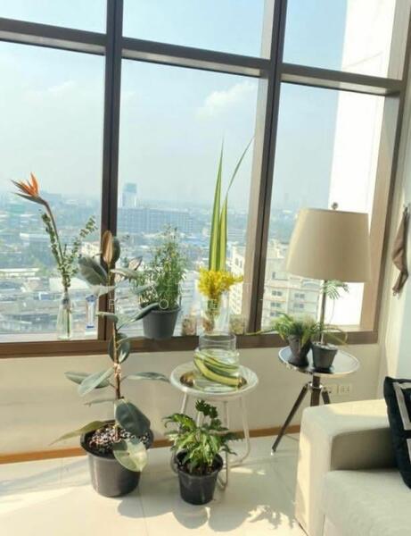 The Emporio Place : ดิ เอ็มโพริโอ เพลส, กรุงเทพ, 93 ซอยสุขุมวิท 24 ถนนสุุขุมวิท, คลองตัน, คลองเตย, กรุงเทพ, 83 ตร.ม., คอนโด ให้เช่า, โดย Next Step Property, 11735618 - DDproperty.com