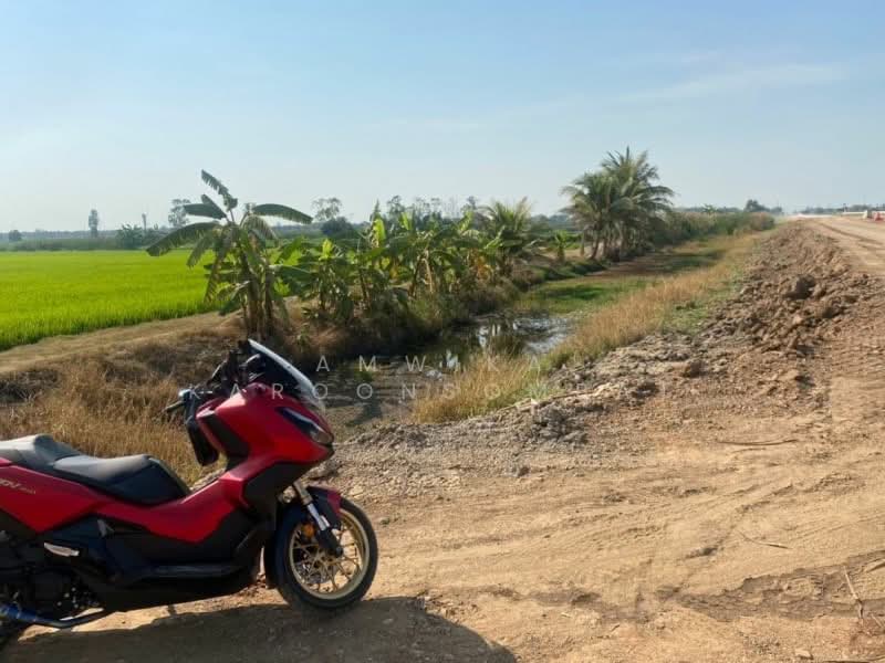 ขาย ที่นาเนื้อที่ 8 ไร่ มีทางเข้า-ออก เขตถนนกว้าง 8 เมตร (ใกล้เซ็นทรัลเวสเกต), นนทบุรี, ทวีวัฒนา, ไทรน้อย, นนทบุรี, 12,800 ตร.ม., ที่ดิน ขาย, โดย Amwika Karoonsombat, 11738102 - DDproperty.com