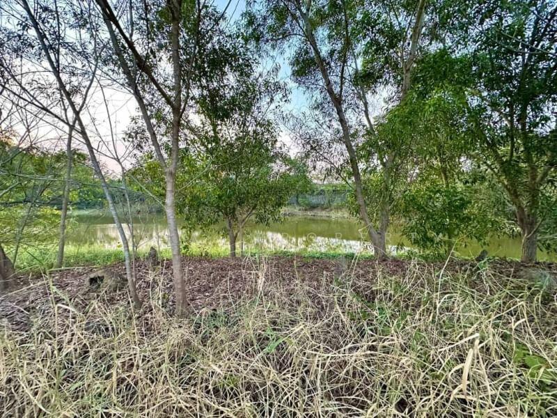 For Sale - Panya Resort Bang Phra Sriracha Project, Chon Buri