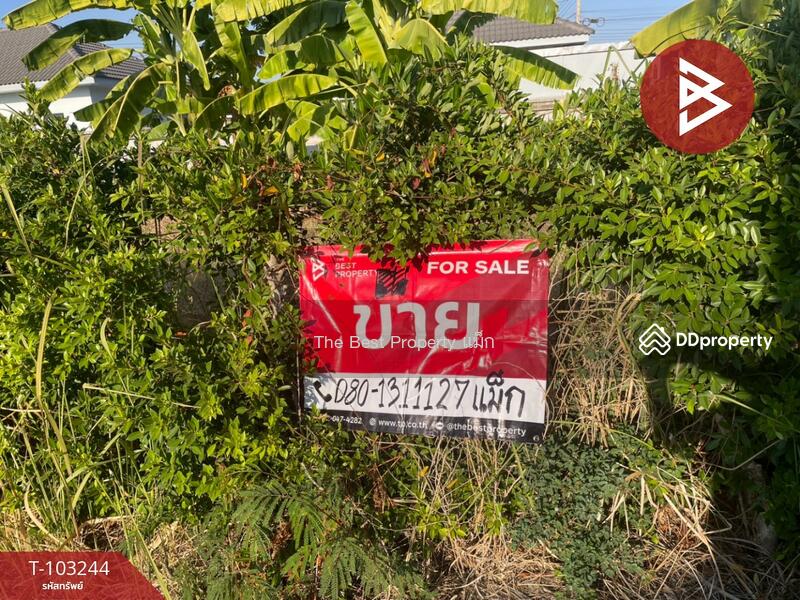 ขาย - ที่ดินคลองนา ฉะเชิงเทรา, ฉะเชิงเทรา