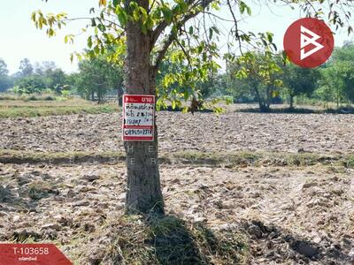 ขาย - ที่ดินสะอาดสมบูรณ์ ร้อยเอ็ด, ร้อยเอ็ด