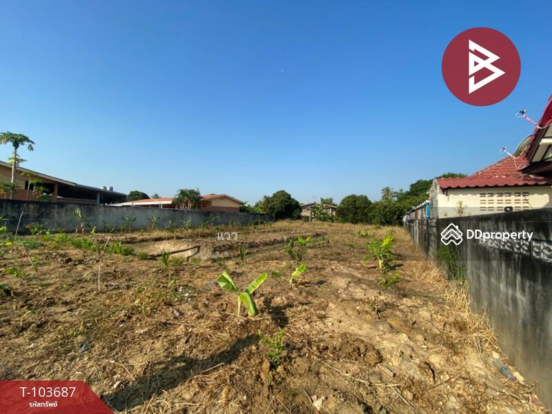For Sale - ที่ดินสามพราน นครปฐม, Nakhon Pathom
