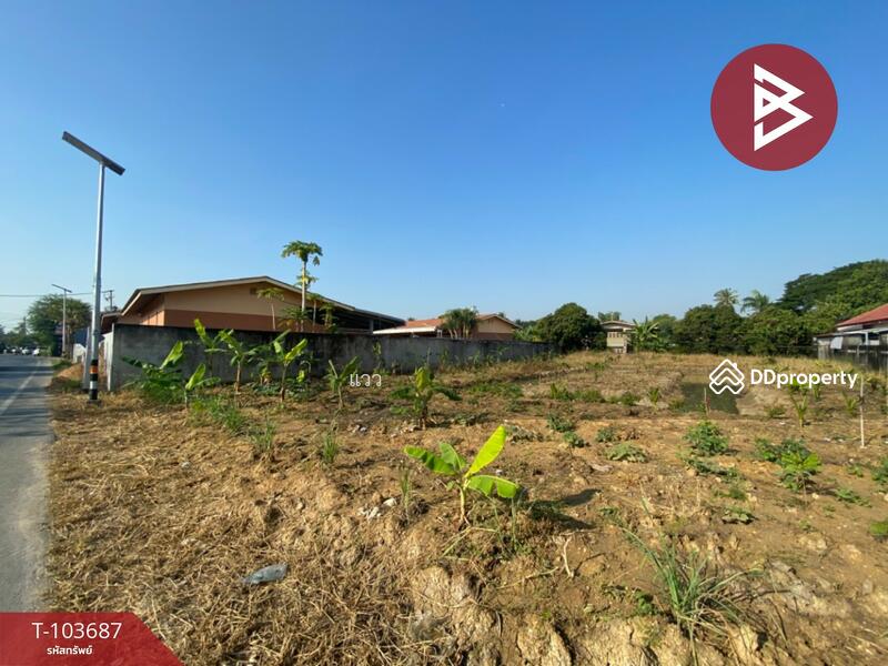 For Sale - ที่ดินสามพราน นครปฐม, Nakhon Pathom
