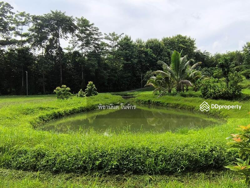 For Sale - Panna Cheeva farm, Nan