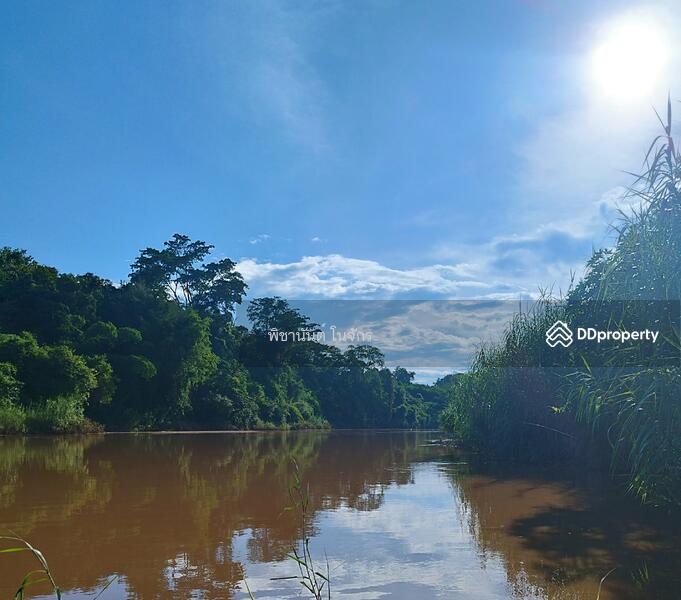 ขาย - ปันนาชีวา, น่าน