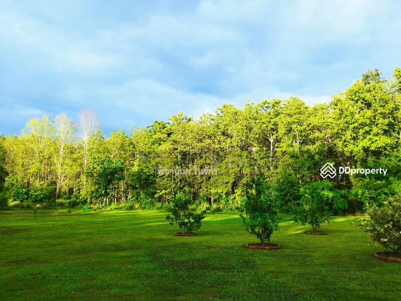 For Sale - Panna Cheeva farm, Nan