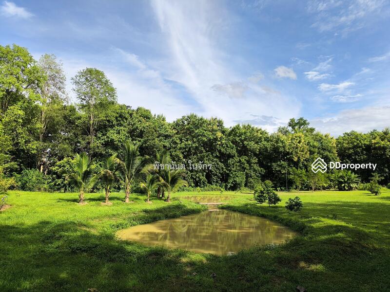 For Sale - Panna Cheeva farm, Nan