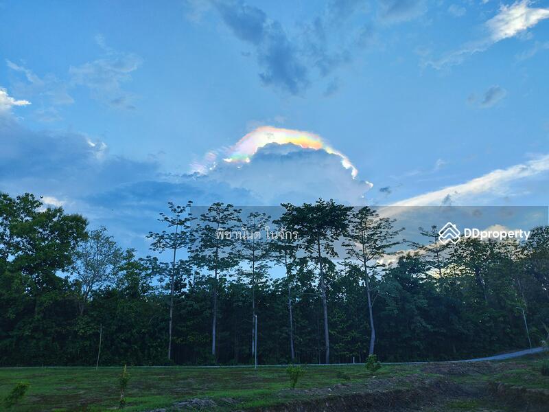 ขาย - ปันนาชีวา, น่าน