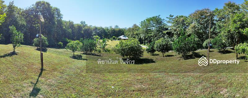 For Sale - Panna Cheeva farm, Nan