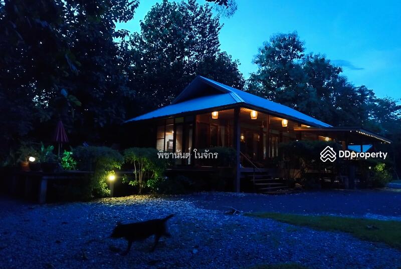 For Sale - Panna Cheeva farm, Nan