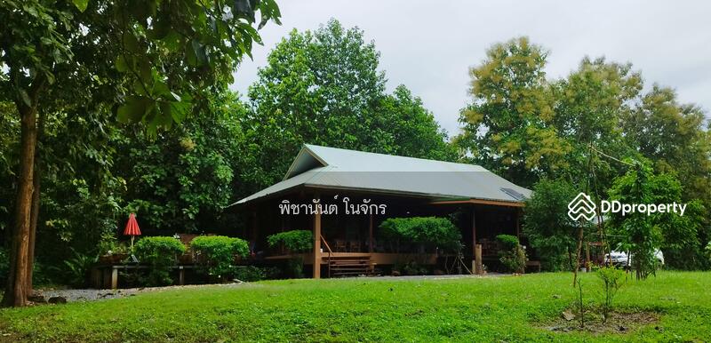 For Sale - Panna Cheeva farm, Nan