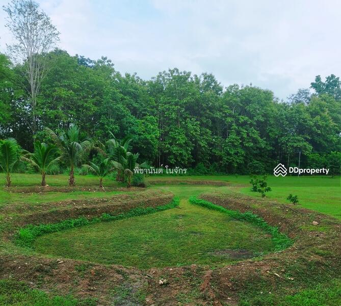 For Sale - Panna Cheeva farm, Nan