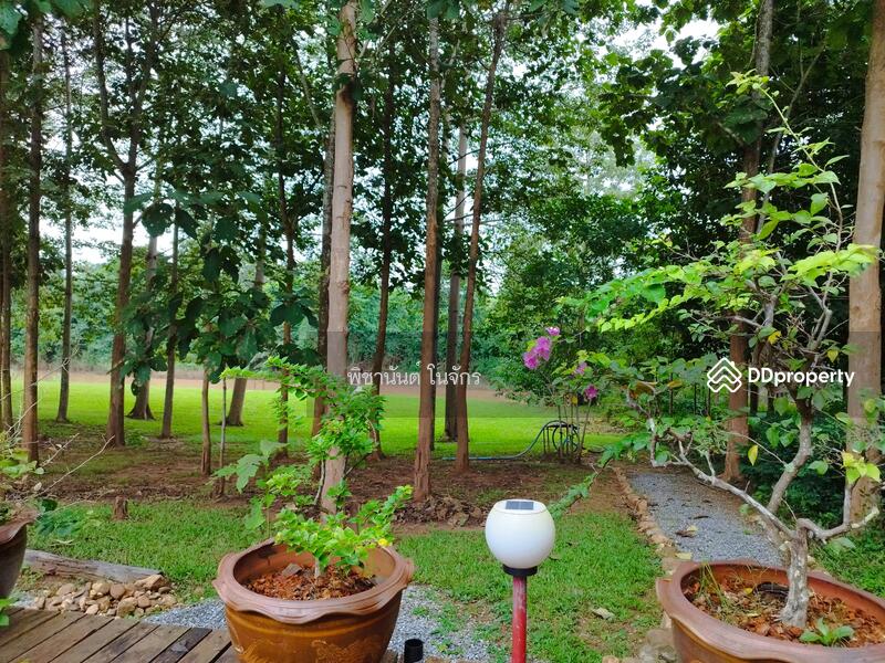 For Sale - Panna Cheeva farm, Nan