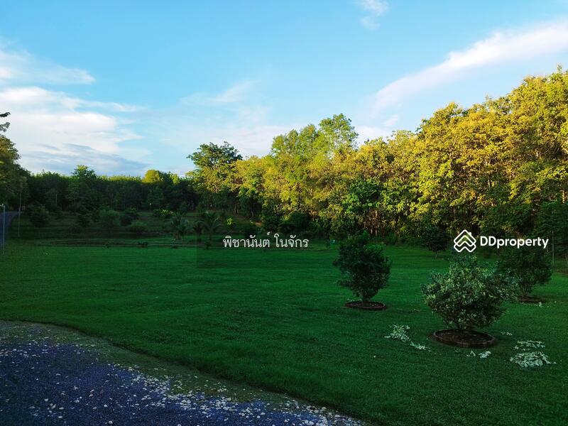 For Sale - Panna Cheeva farm, Nan