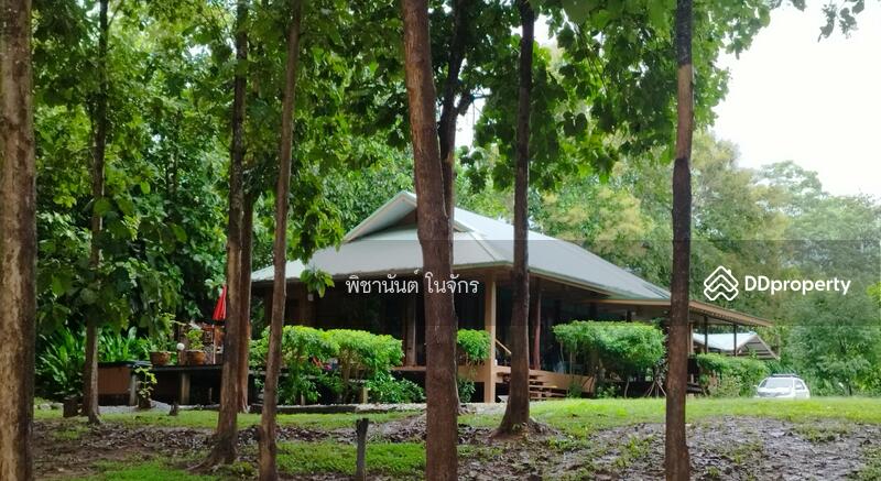 ขาย - ปันนาชีวา, น่าน