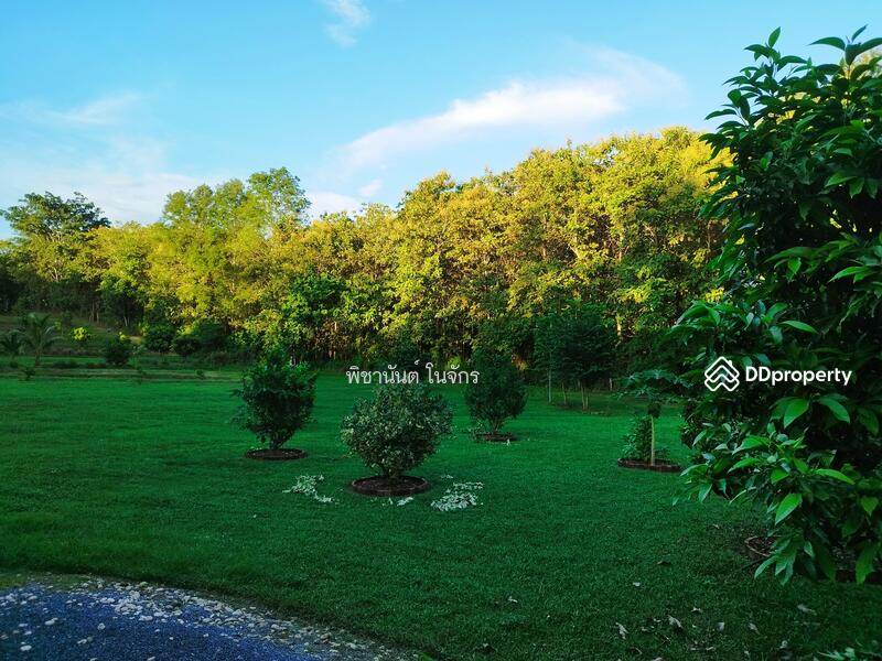 For Sale - Panna Cheeva farm, Nan