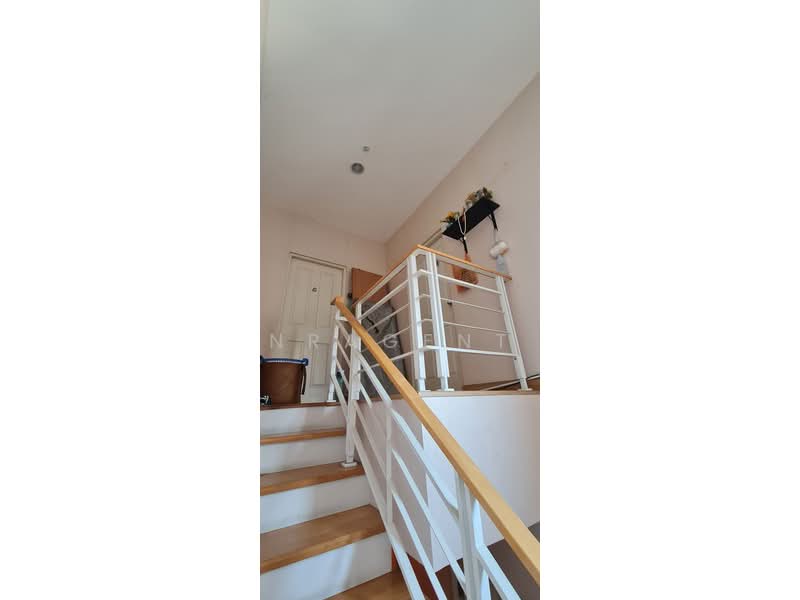 Baan Klang Muang Ratchada 36, Bangkok, Ratchadaphisek 36 Intersection 9-3-6, Chan Kasem, Chatuchak, Bangkok, 5 Bedrooms, 120 sqm, Townhouse For Sale, by NRagent, 11741482 - DDproperty.com