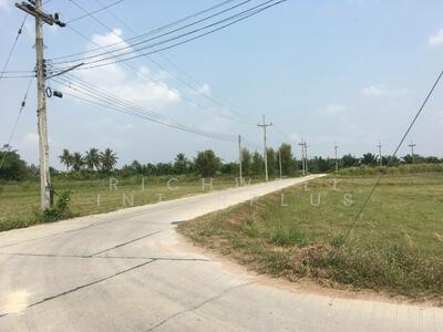 ขาย - ขายที่ดินหนองขยาด 17 ไร่ ติดคลอง หน้ากว้างติดถ.คอนกรีต 70 เมตร อ.พนัสนิคม, ชลบุรี
