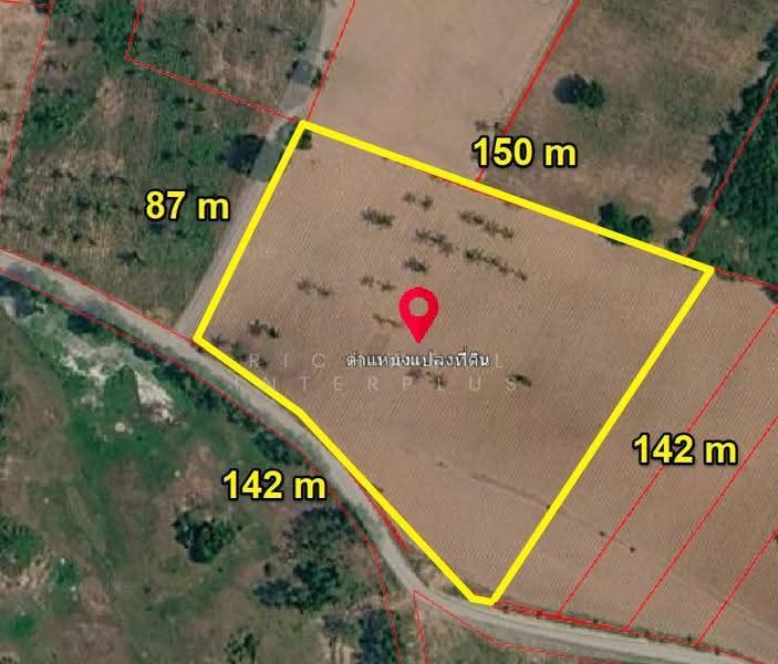 Land for sale, Bueng, Sriracha, 10 rai, Nong Khae Soi 1, next to concrete road, chon-buri, Bueng, Si Racha, Chon Buri (Pattaya), , 16,620 sqm, Land For Sale, by RICHWELL INTERPLUS, 11742337 - DDproperty.com