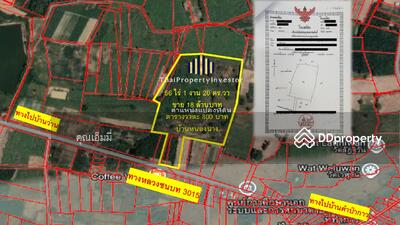 ขาย - “นี่คือโอกาสทองสำหรับนักลงทุนหรือผู้ประกอบการ ขายที่ดินเปล่า แปลงใหญ่ 56-1-28 ไร่ บ้านหนองนาง, หนองคาย