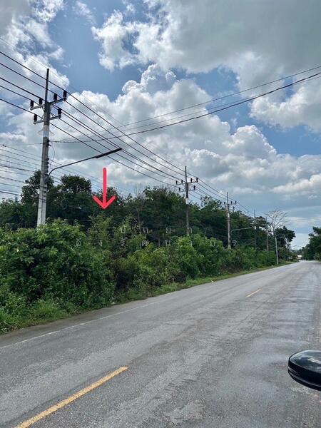 ขาย - ขายที่ดิน 5 ไร่ ควนมะพร้าว พัทลุง! ติดถนนหลัก, พัทลุง