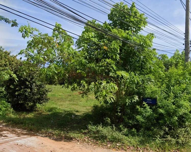 ขาย - ขายที่ดิน 5 ไร่ ควนมะพร้าว พัทลุง! ติดถนนหลัก, พัทลุง