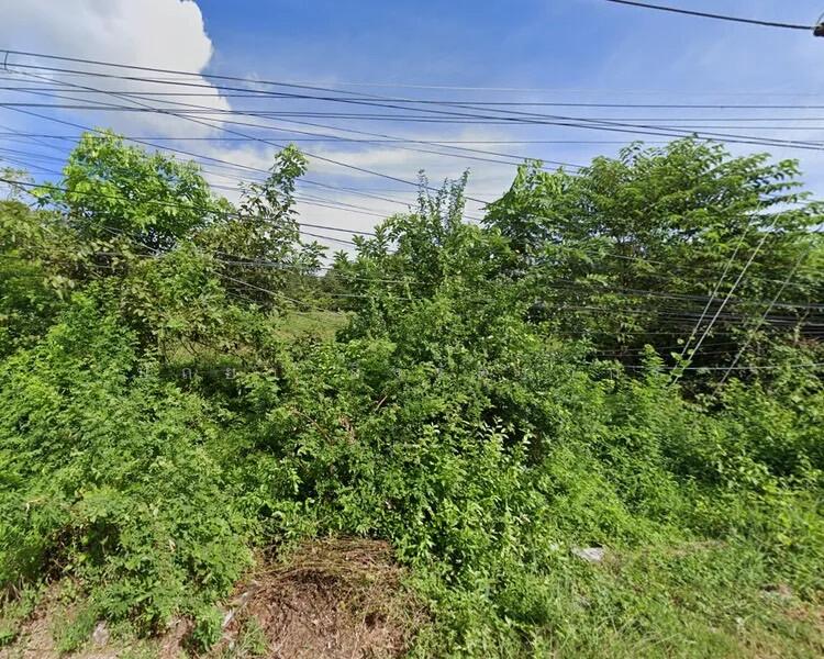 ขาย - ขายที่ดิน 5 ไร่ ควนมะพร้าว พัทลุง! ติดถนนหลัก, พัทลุง