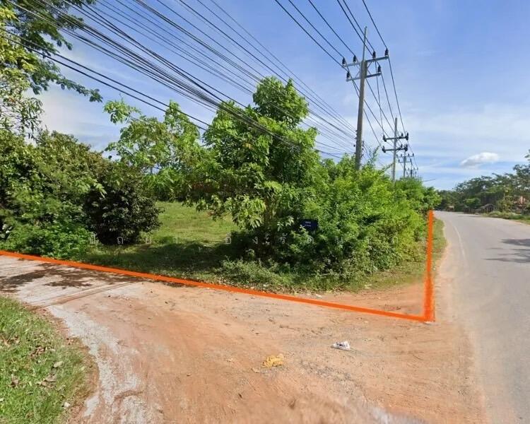 ขาย - ขายที่ดิน 5 ไร่ ควนมะพร้าว พัทลุง! ติดถนนหลัก, พัทลุง