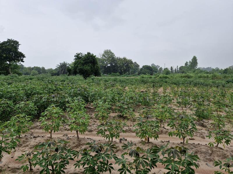 Land for sale in Ban Song, 32 rai (approximately 12.8 acres), priced at ฿274,800 per rai, Chachoengsao, Ban-Song, Phanom Sarakham, Chachoengsao, , 51,816 sqm, Land For Sale, by RICHWELL INTERPLUS, 11743632 - DDproperty.com