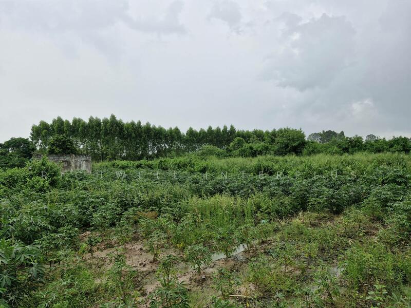 Land for sale in Ban Song, 32 rai (approximately 12.8 acres), priced at ฿274,800 per rai, Chachoengsao, Ban-Song, Phanom Sarakham, Chachoengsao, , 51,816 sqm, Land For Sale, by RICHWELL INTERPLUS, 11743632 - DDproperty.com