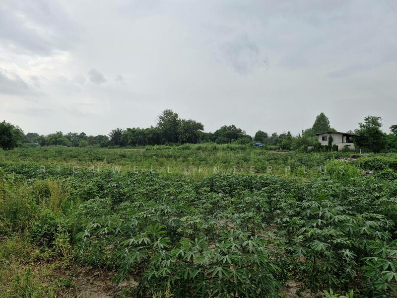 Land for sale in Ban Song, 32 rai (approximately 12.8 acres), priced at ฿274,800 per rai, Chachoengsao, Ban-Song, Phanom Sarakham, Chachoengsao, , 51,816 sqm, Land For Sale, by RICHWELL INTERPLUS, 11743632 - DDproperty.com