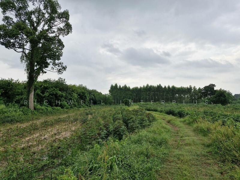 Land for sale in Ban Song, 32 rai (approximately 12.8 acres), priced at ฿274,800 per rai, Chachoengsao, Ban-Song, Phanom Sarakham, Chachoengsao, , 51,816 sqm, Land For Sale, by RICHWELL INTERPLUS, 11743632 - DDproperty.com