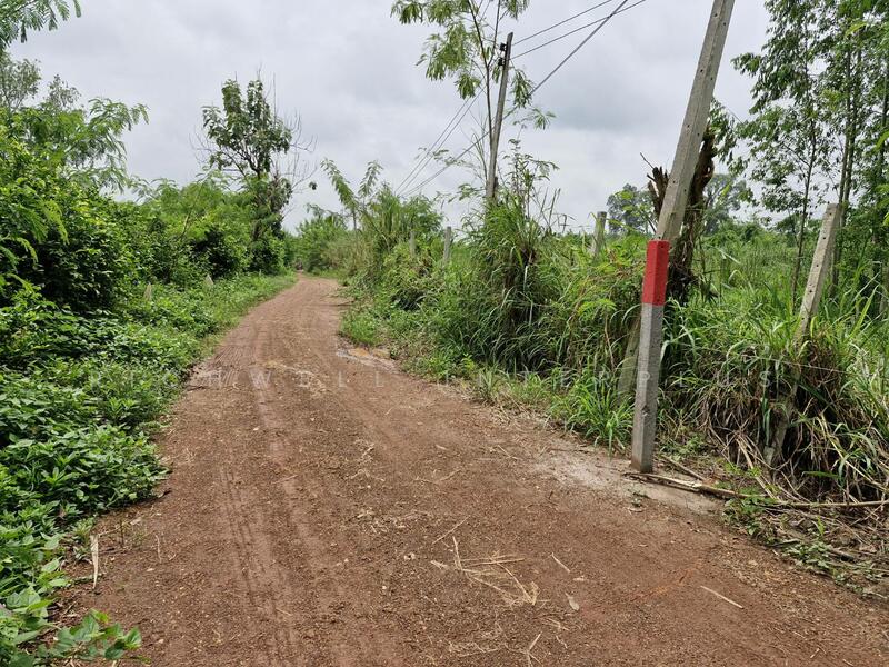 Land for sale in Ban Song, 32 rai, selling for only 275,200/rai, has a pond, suitable for farming,, Chachoengsao, Ban-Song, Phanom Sarakham, Chachoengsao, , 51,816 sqm, Land For Sale, by RICHWELL INTERPLUS, 11743632 - DDproperty.com