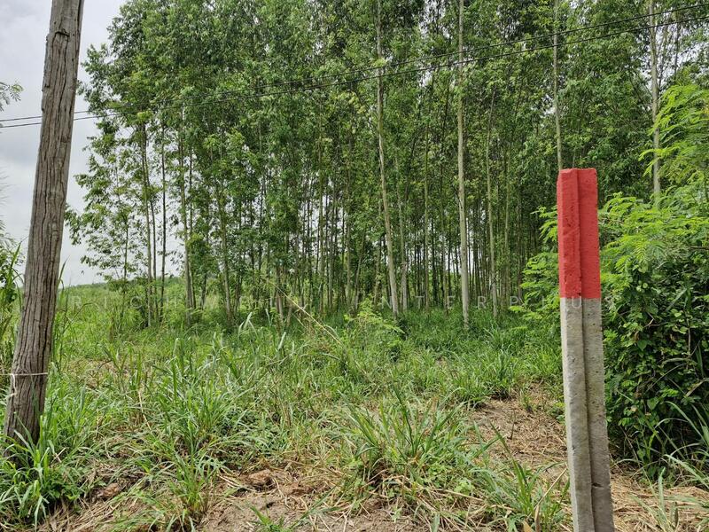 Land for sale in Ban Song, 32 rai, selling for only 275,200/rai, has a pond, suitable for farming,, Chachoengsao, Ban-Song, Phanom Sarakham, Chachoengsao, , 51,816 sqm, Land For Sale, by RICHWELL INTERPLUS, 11743632 - DDproperty.com