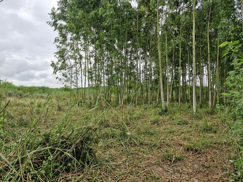 Land for sale in Ban Song, 32 rai, selling for only 275,200/rai, has a pond, suitable for farming,, Chachoengsao, Ban-Song, Phanom Sarakham, Chachoengsao, , 51,816 sqm, Land For Sale, by RICHWELL INTERPLUS, 11743632 - DDproperty.com